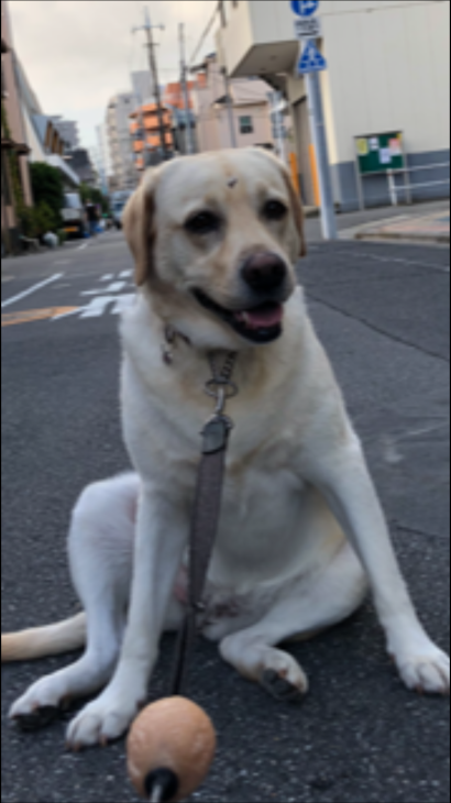 b0339522_08374443.png
