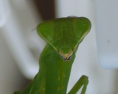 d0066822_10414732.jpg
