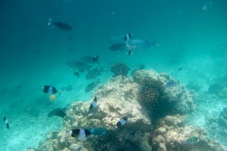 e0387424_11211000.jpg