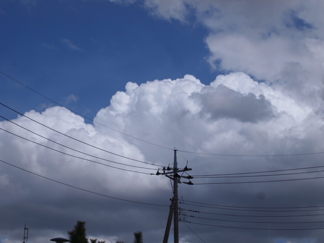 a0214329_16484759.jpg