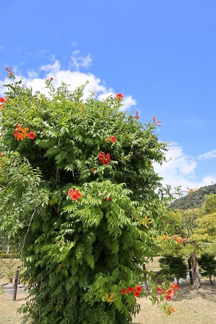 a0242438_19000990.jpg