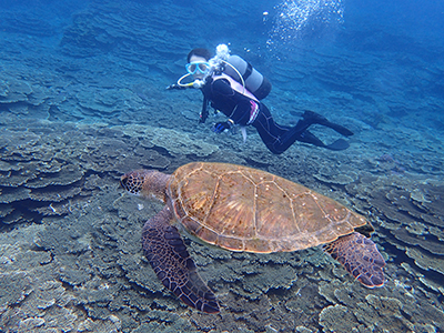 b0189640_17114150.jpg