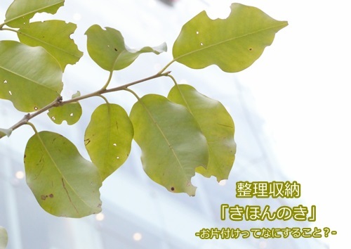 【自宅セミナー】整理収納「きほんのき」開催します_c0360042_15545432.jpg
