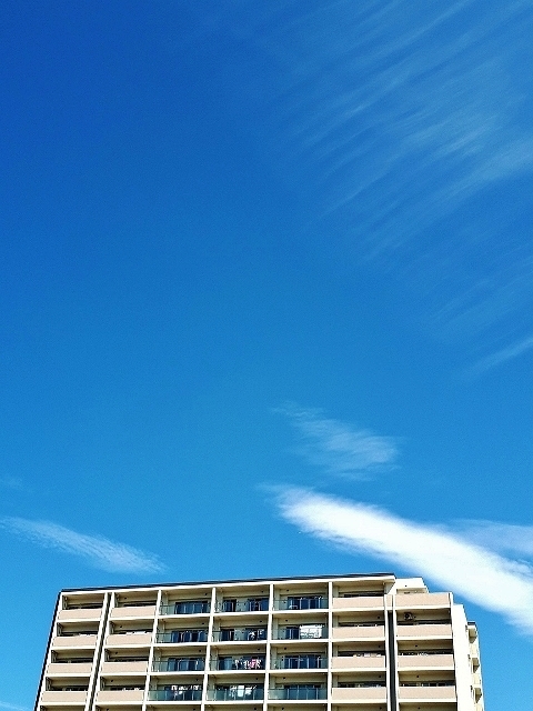 b0314043_07100859.jpg