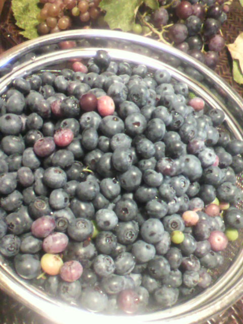 a0111545_01331949.jpg