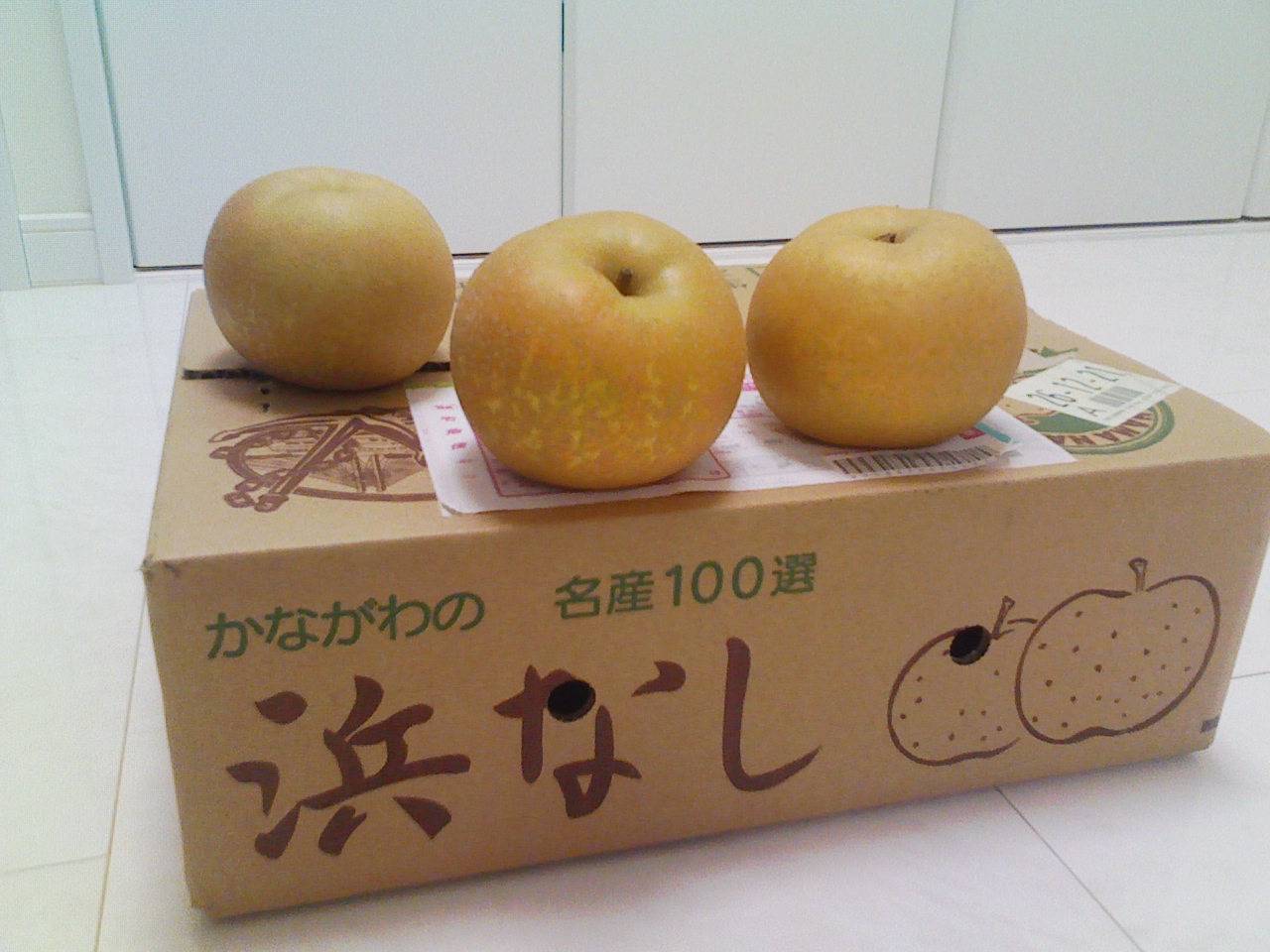 c0247346_2335455.jpg