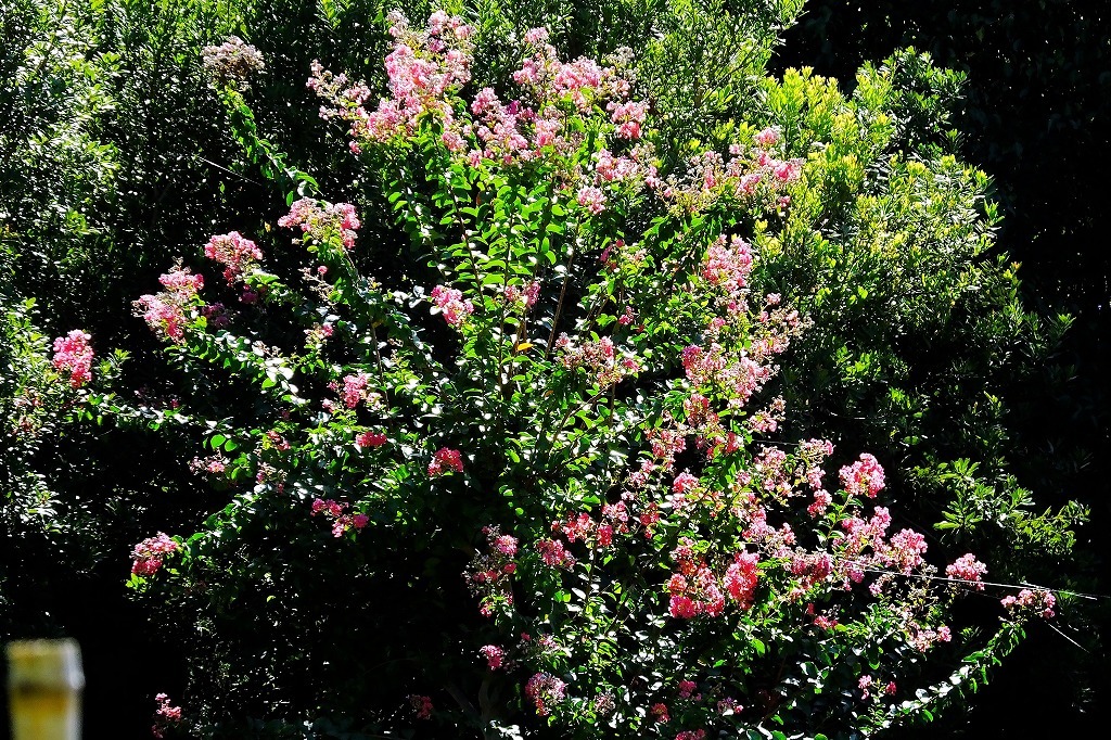 b0236251_11134278.jpg