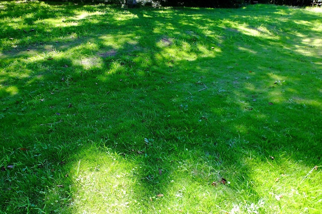 b0236251_11180874.jpg