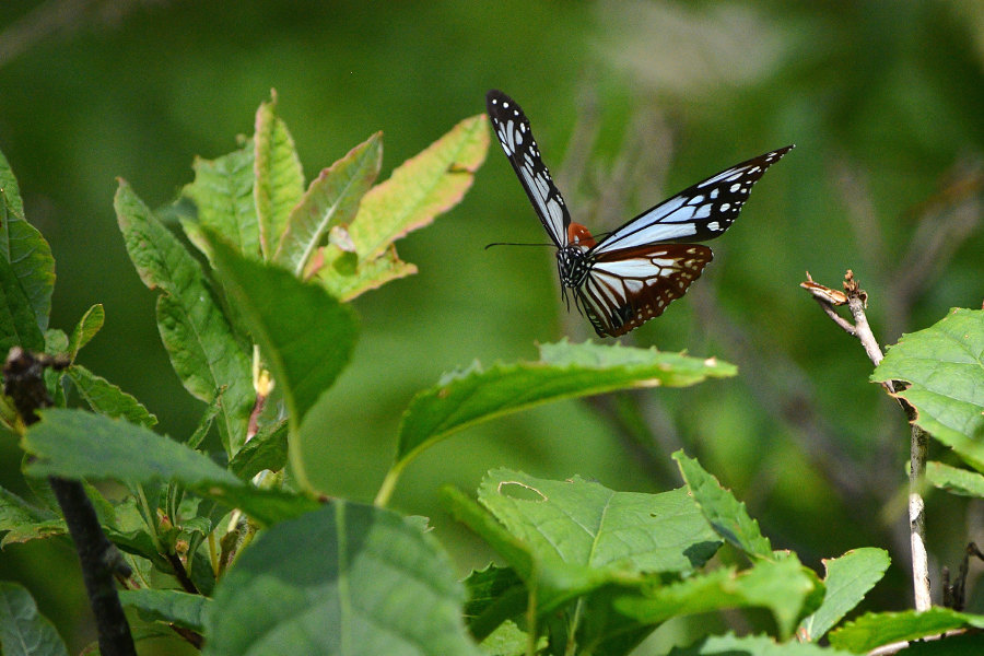 d0387460_22081844.jpg