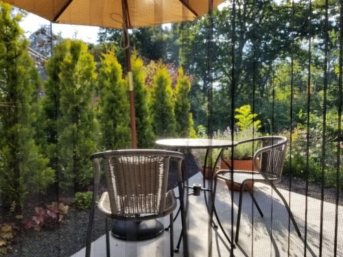 f0236260_01461689.jpg