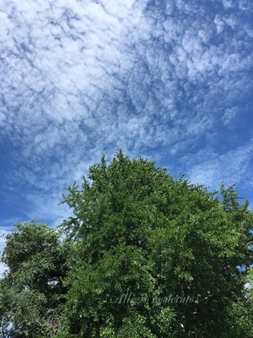d0240961_14341409.jpeg
