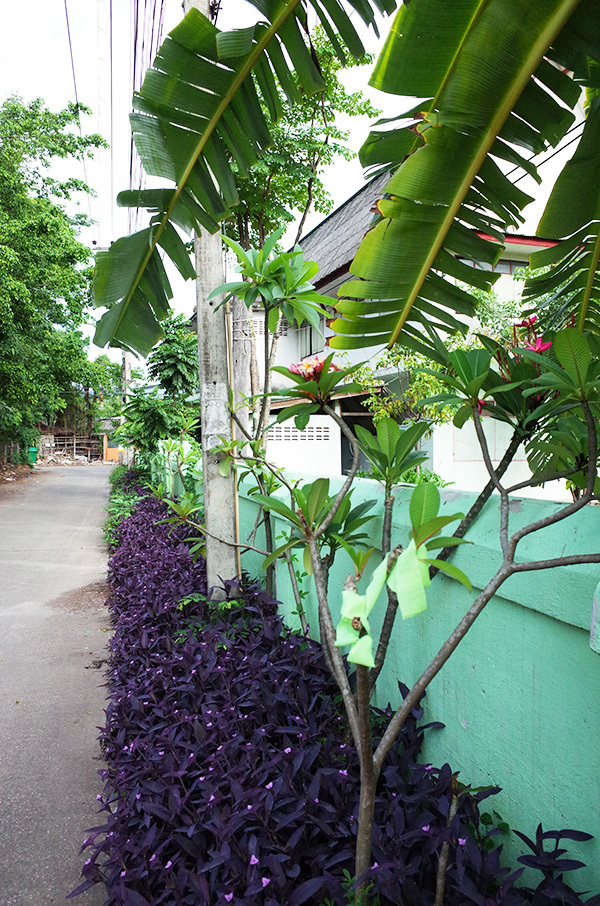 c0048265_19561450.jpg