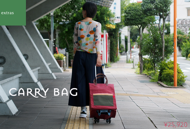 「carry bag」のカラーリング_e0243765_16524380.jpg