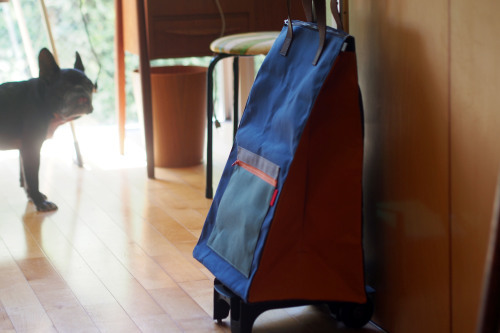 「carry bag」のカラーリング_e0243765_16545528.jpg