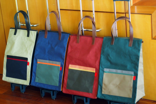 「carry bag」のカラーリング_e0243765_16550797.jpg