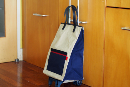 「carry bag」のカラーリング_e0243765_16563454.jpg