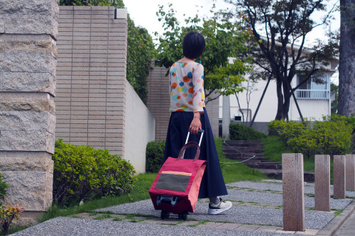 「carry bag」のカラーリング_e0243765_16574080.jpg