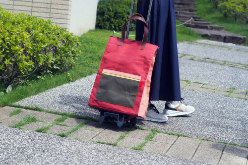 「carry bag」のカラーリング_e0243765_16574965.jpg