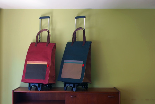 「carry bag」のカラーリング_e0243765_20305859.jpg