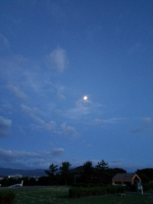 f0395276_01050309.jpg