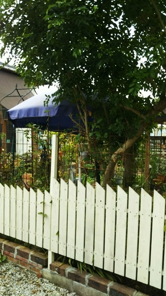 f0366679_14425209.jpg