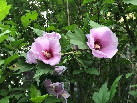 a0053480_05541607.jpg