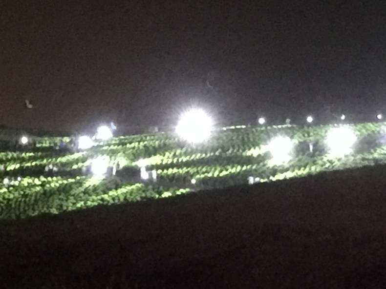 b0163381_23321425.jpeg