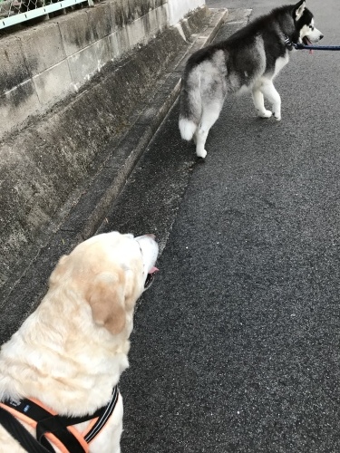 f0315081_21552879.jpeg