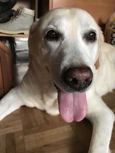 f0315081_21580891.jpeg