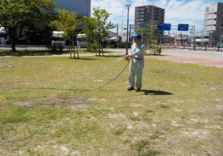 6月「中川口・堀止・堀川東」緑地の維持管理状況_d0338682_10235493.jpg