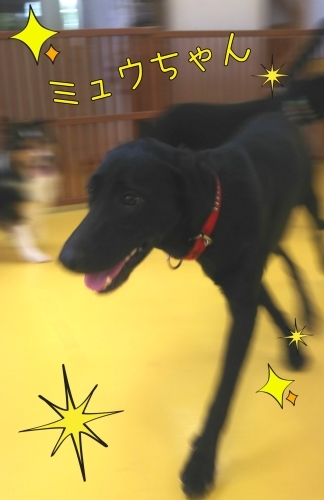 トレーニングブログ_f0357682_15484307.jpg