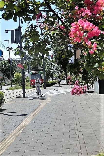 d0181492_21340627.jpg