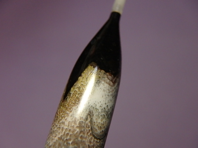 a0129999_18135659.jpg
