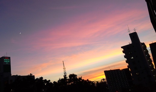 f0371014_06280596.jpg