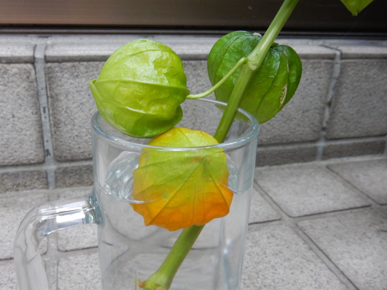 8月24日のtwitter_c0025115_21212432.jpg