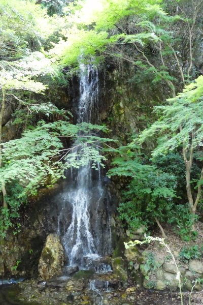 岐阜市の名峰　金華山 (328.9M)   登頂 編_d0170615_09412652.jpg