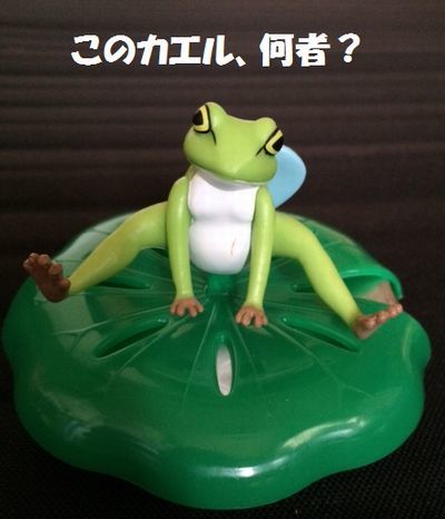 カエルを見るとつい・・・_e0234016_19570238.jpg