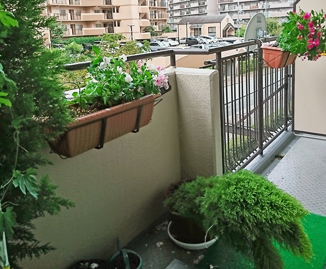 e0359418_21035350.jpg
