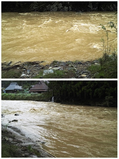 曇り・25℃で強いが風が・・・・増水して針畑川　　　朽木小川・気象台より_c0044819_7431961.jpg