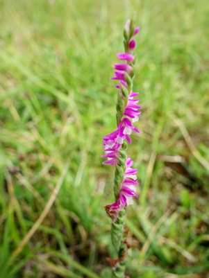c0204725_20582446.jpg