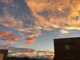 d0025725_2017371.jpg