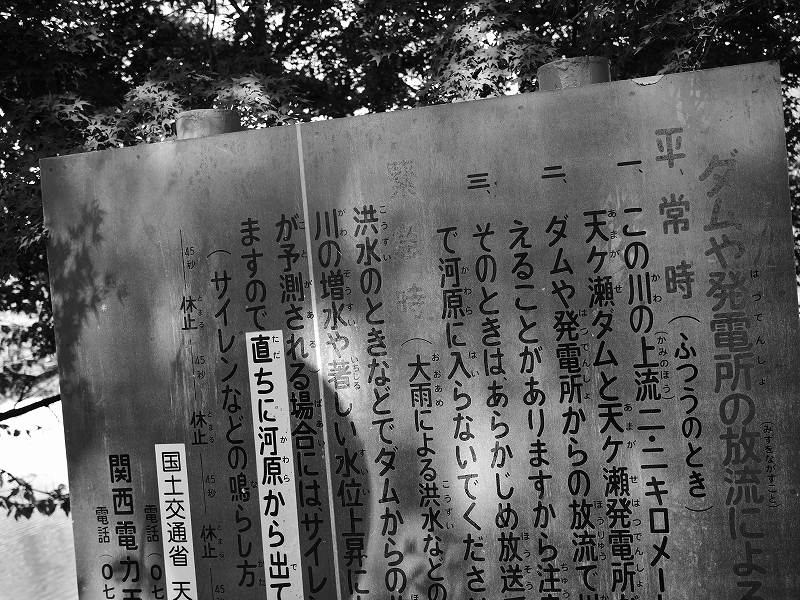 ダムや発電所の放流による・・・_e0374932_08271178.jpg