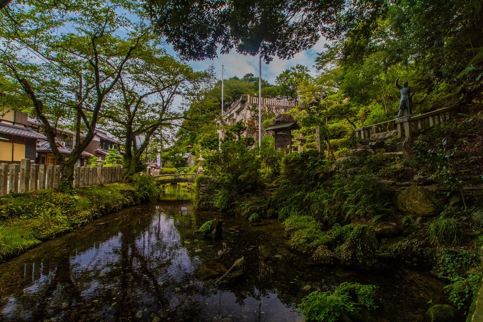 醒ヶ井宿 地蔵川に咲く梅花藻_e0363038_14183381.jpg