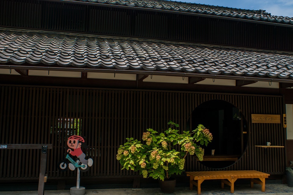 醒ヶ井宿 地蔵川に咲く梅花藻_e0363038_14183710.jpg