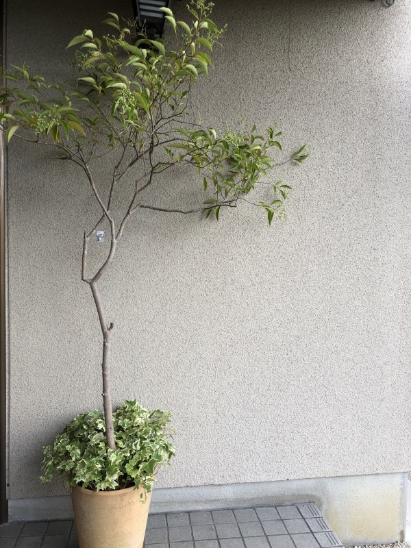d0282139_01402397.jpeg