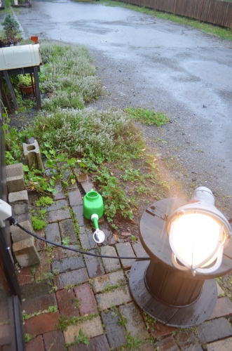 大雨台風の中も_b0207642_17264421.jpg
