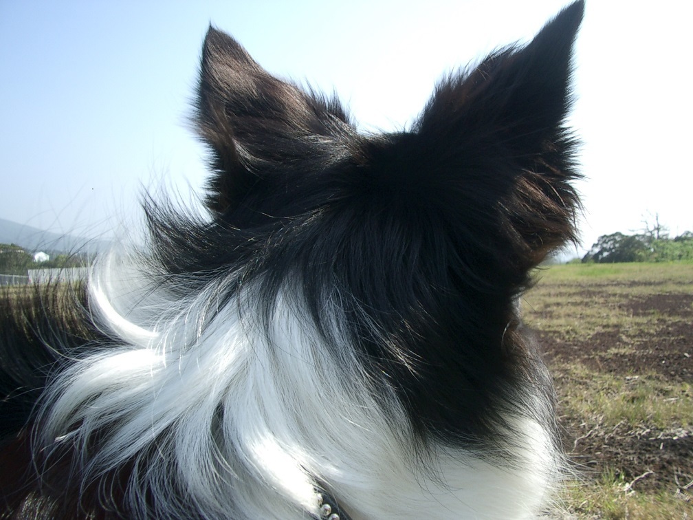 e0128144_05202511.jpg