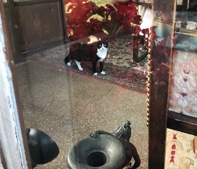 フランスのお城の猫ちゃん・西陣まいづるにも・鶴のお店にも_f0181251_1954735.jpg