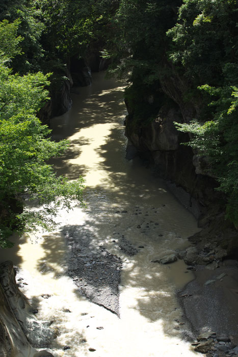 d0342652_156917.jpg