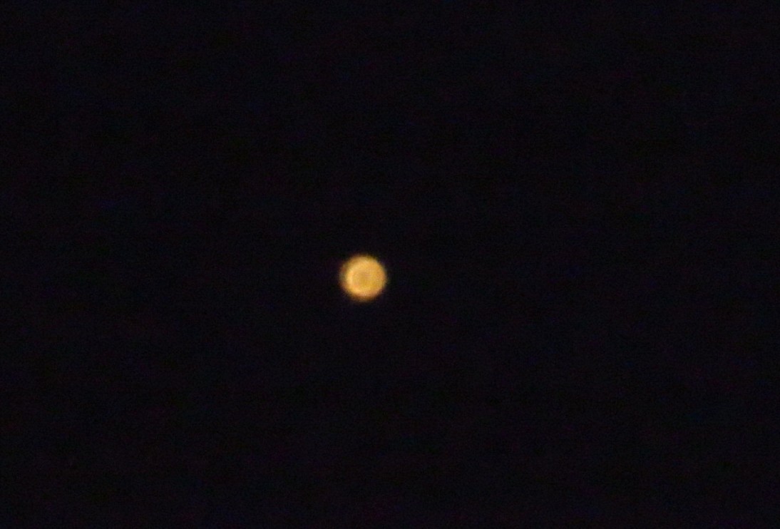 a0018655_09301149.jpg